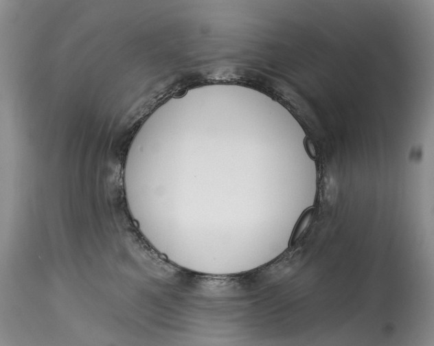 X0000115010521200911161603