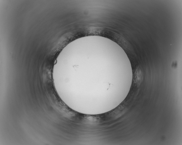 X0000115010522200911161603