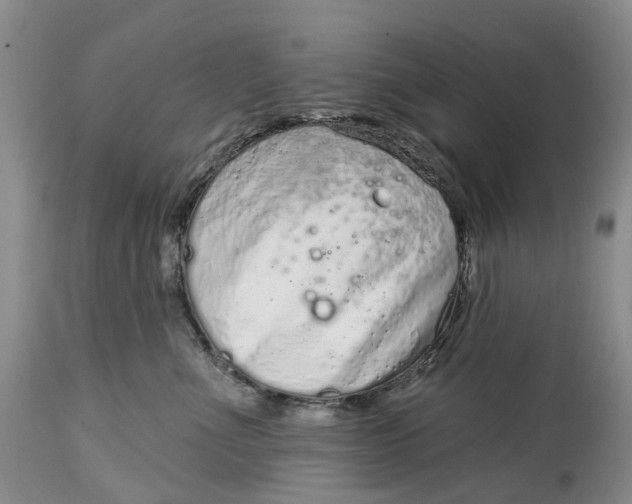 X0000115010523200911161603