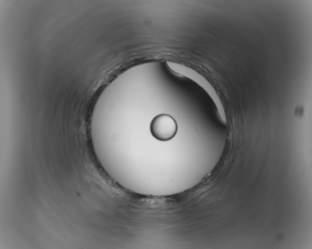 X0000115010524200911161603