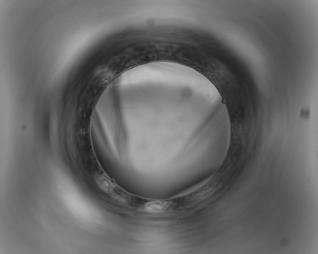 X0000115010526200911161603