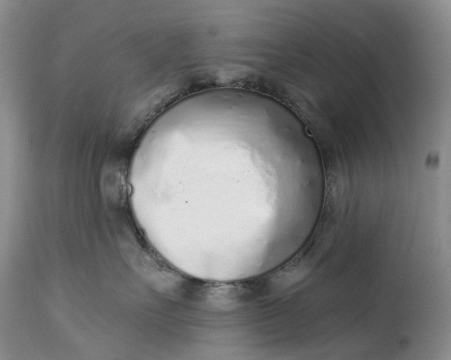 X0000115010527200911161603