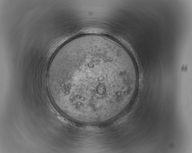 X0000115010529200911161603