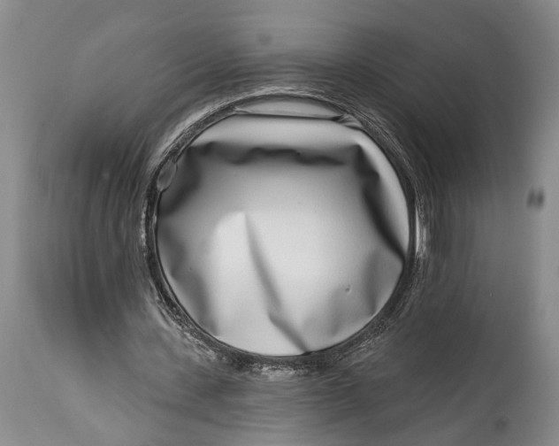 X0000115010531200911161603