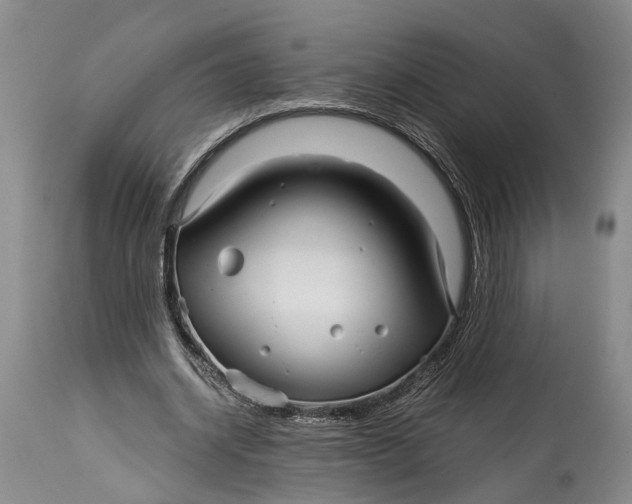 X0000115010534200911161603