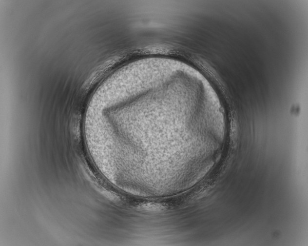 X0000115010537200911161603