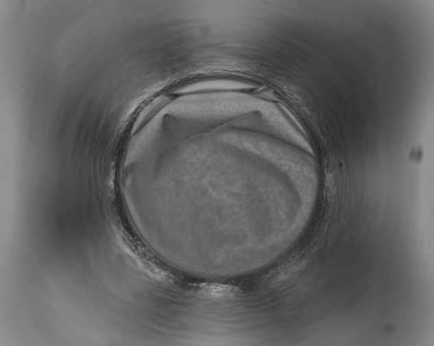 X0000115010539200911161603