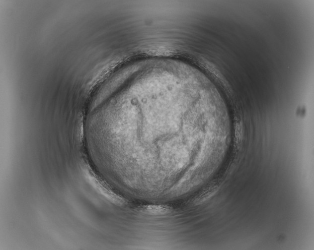 X0000115010541200911161603
