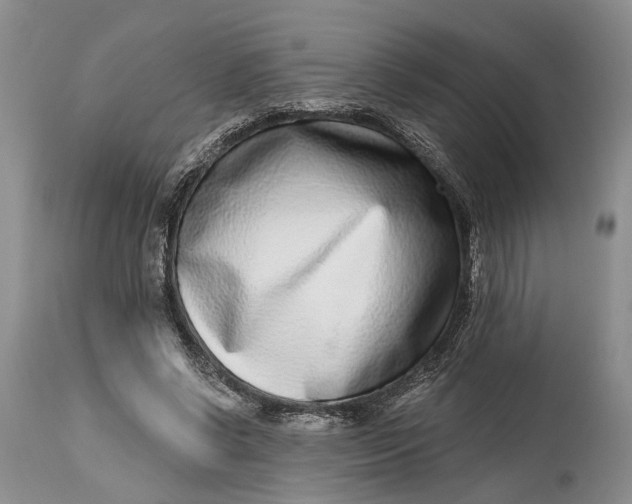 X0000115010542200911161603