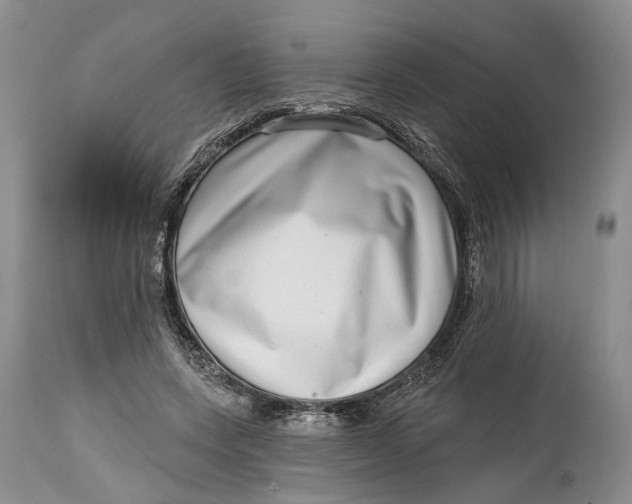 X0000115010543200911161603