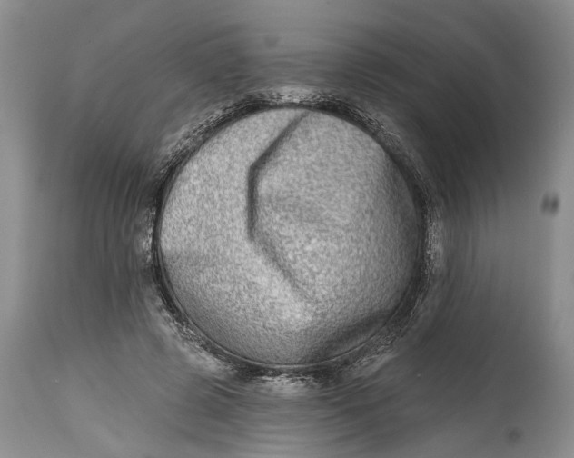 X0000115010545200911161603