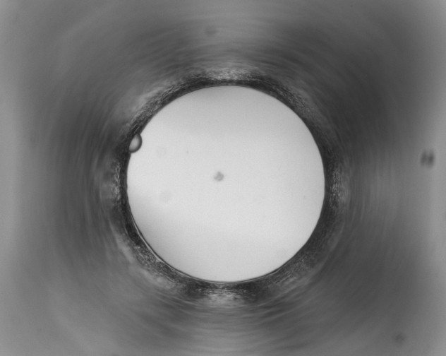 X0000115010547200911161603