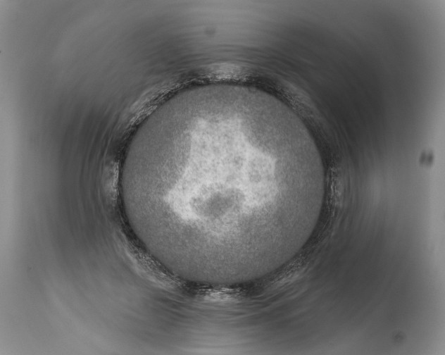 X0000115010550200911161603