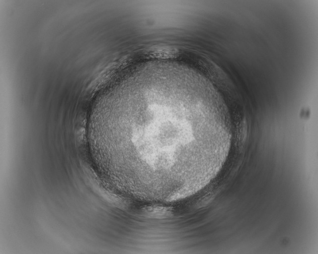 X0000115010553200911161603
