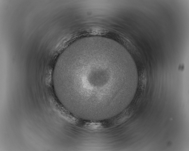 X0000115010554200911161603