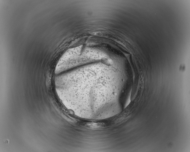 X0000115010558200911161603