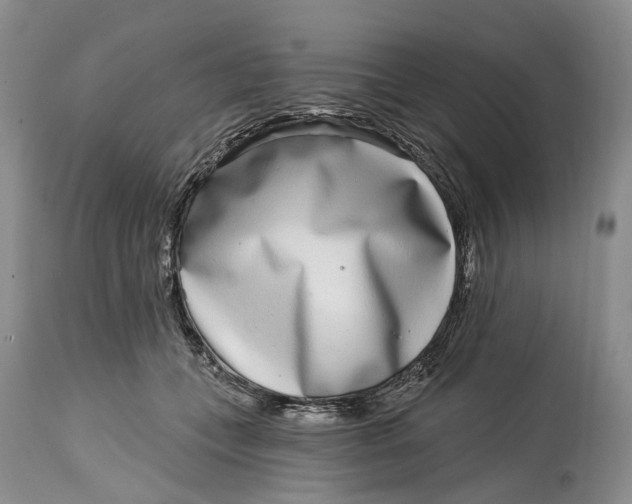 X0000115010559200911161603