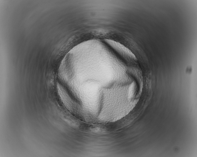 X0000115010561200911161603