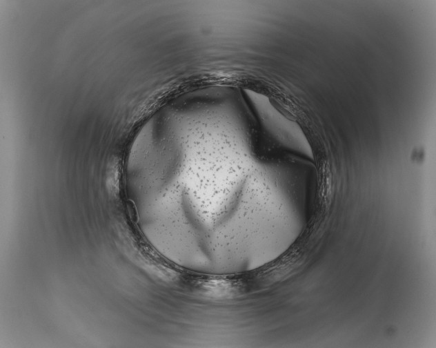 X0000115010562200911161603