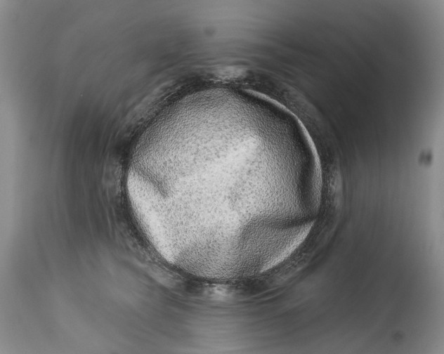 X0000115010565200911161603