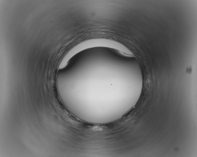 X0000115010566200911161603