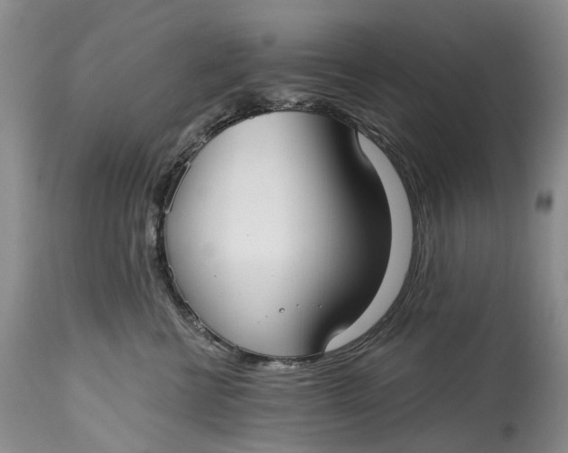 X0000115010570200911161603