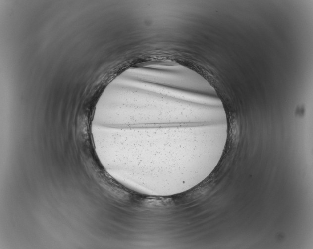X0000115010571200911161603