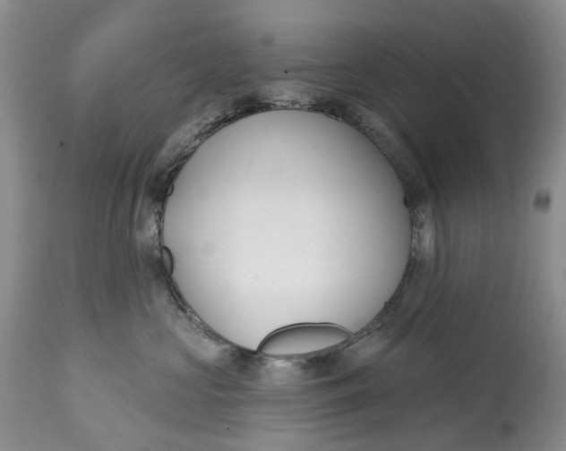 X0000115010573200911161603