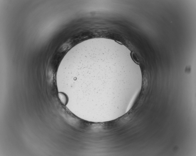 X0000115010574200911161603