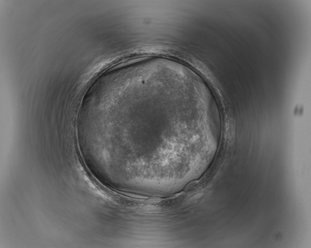 X0000115010577200911161603