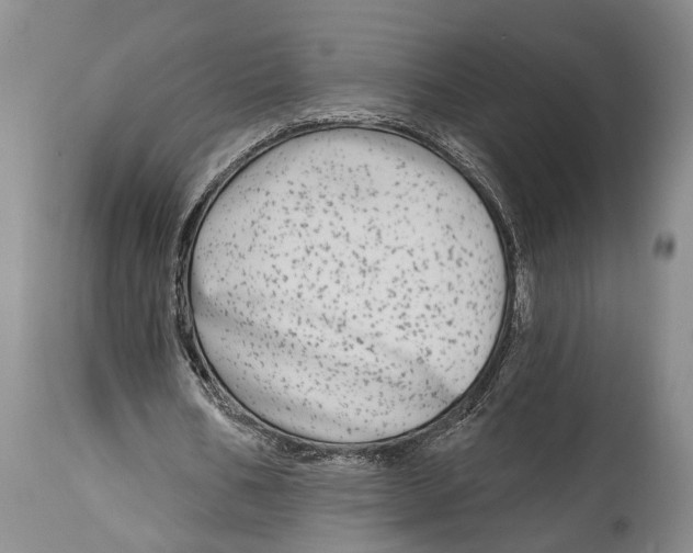 X0000115010578200911161603