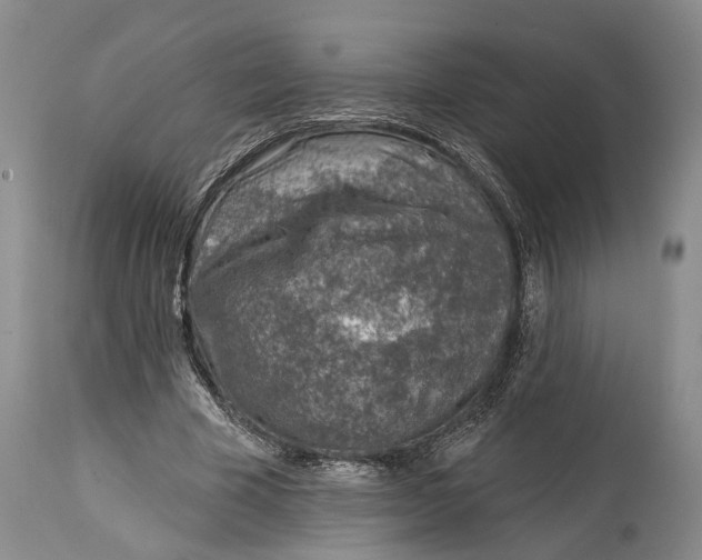 X0000115010585200911161602