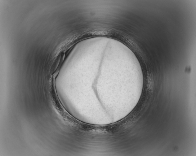 X0000115010586200911161602