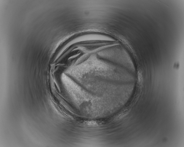 X0000115010588200911161602