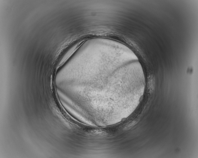 X0000115010589200911161602