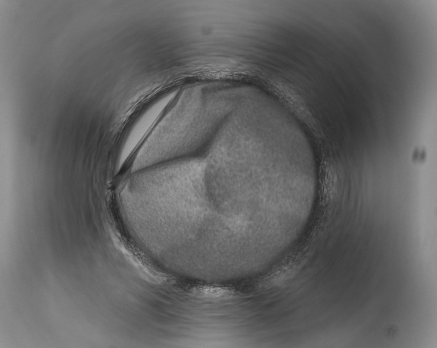 X0000115010590200911161602