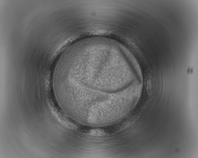 X0000115010591200911161602