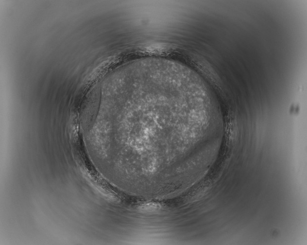 X0000115010593200911161602