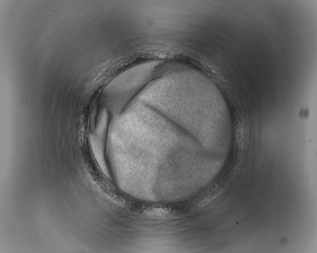 X0000115010594200911161602