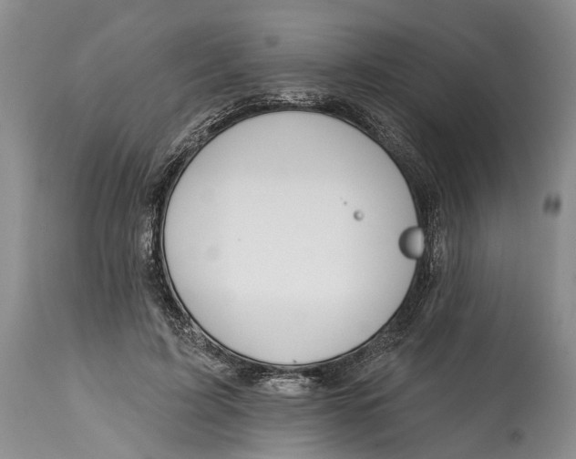 X0000115010595200911161602