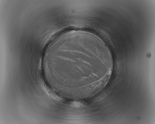 X0000115010596200911161602