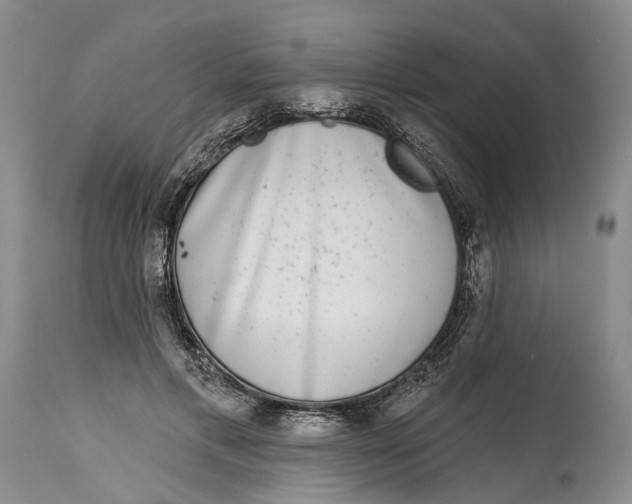 X0000115010597200911161602