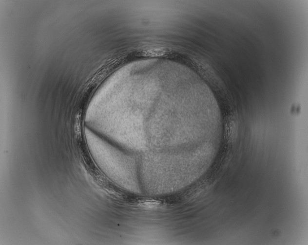 X0000115010598200911161602