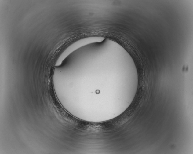 X0000115010599200911161602