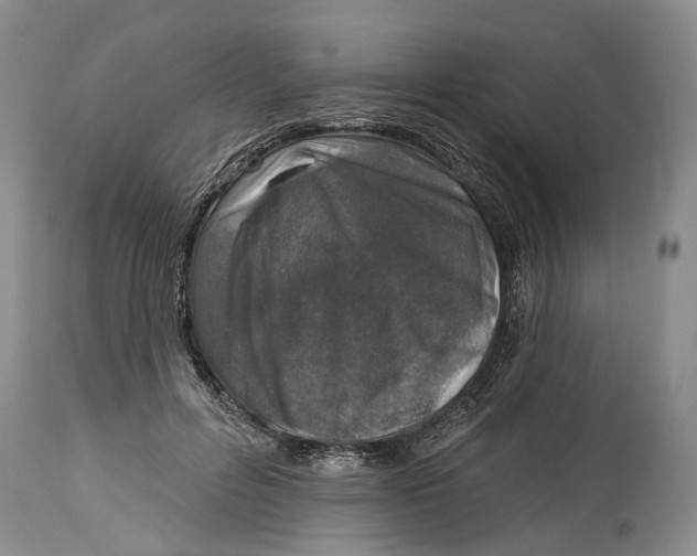 X0000115010600200911161602