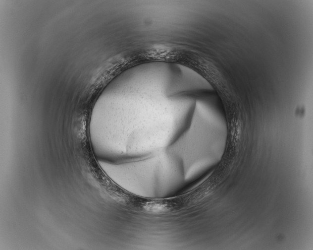 X0000115010602200911161602