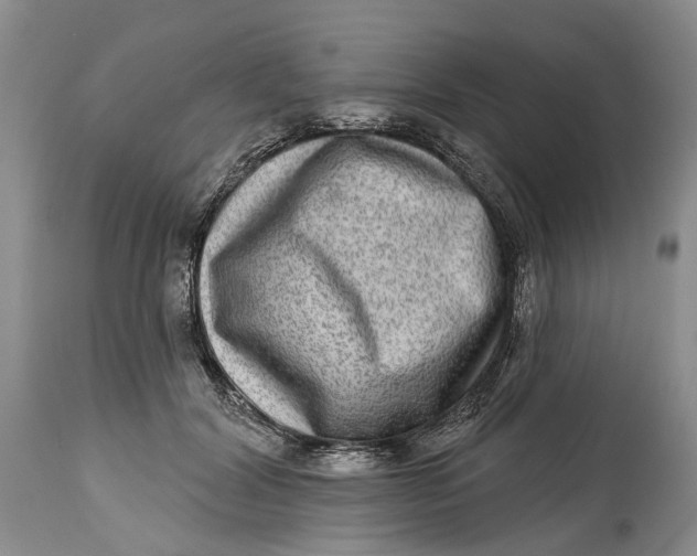 X0000115010604200911161602