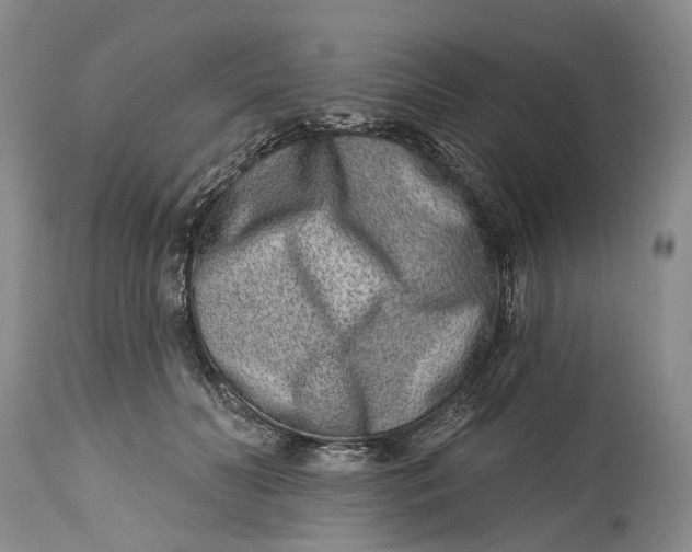 X0000115010606200911161602