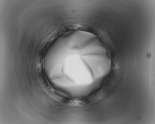 X0000115010607200911161602