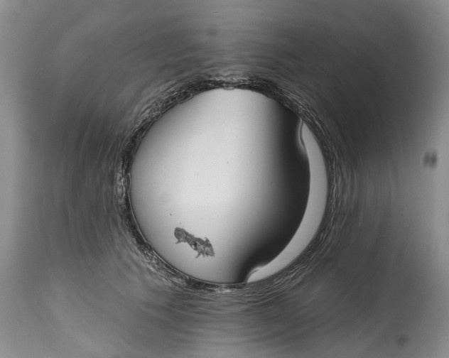 X0000115010609200911161602